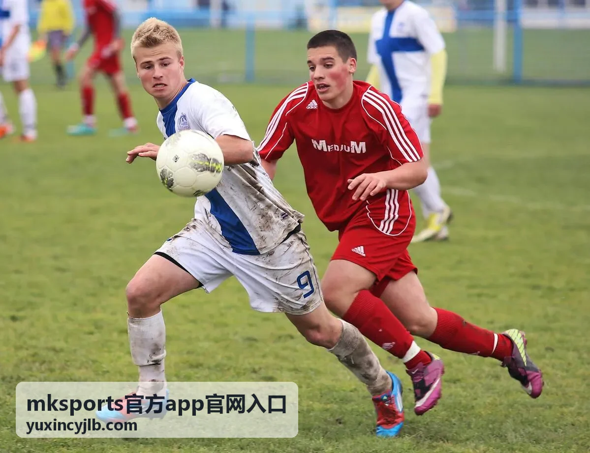 mksports官方app官网入口下载安装步骤示意