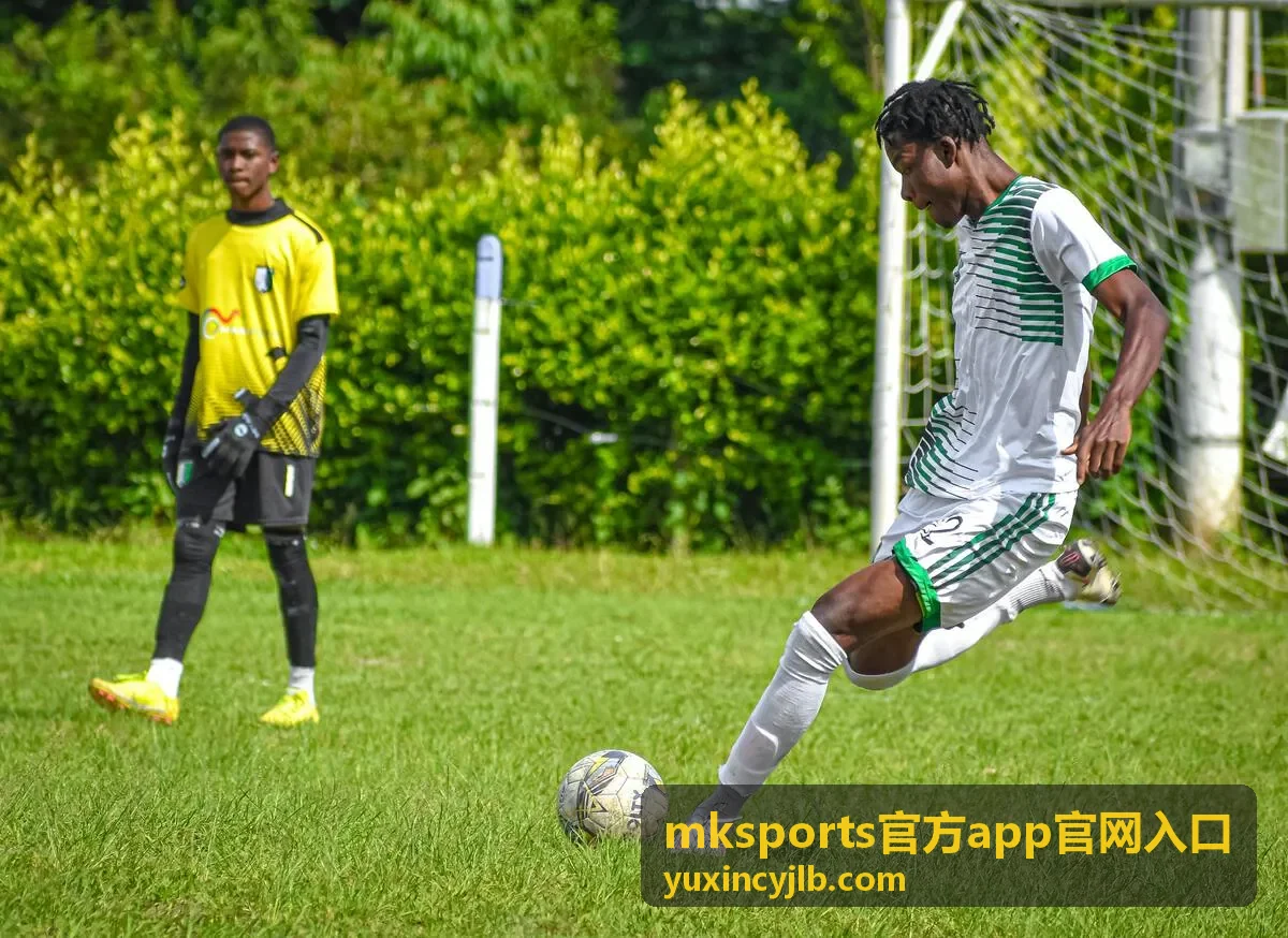 mksports官方app官网入口赛程与数据功能界面